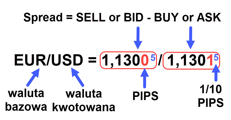 Forex waluty forum